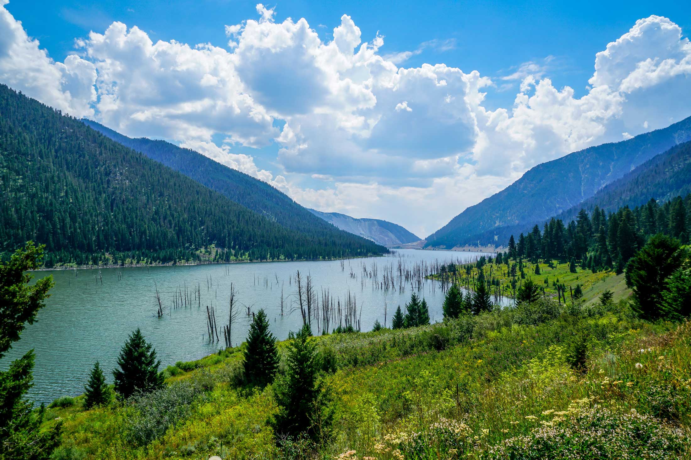 Earthquake Lake