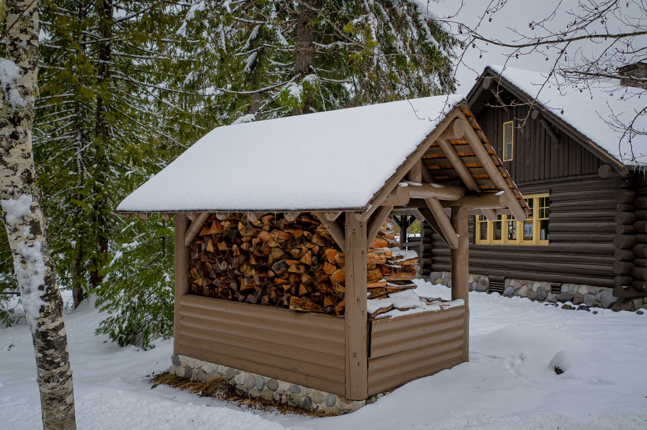 Firewood stored away from structure