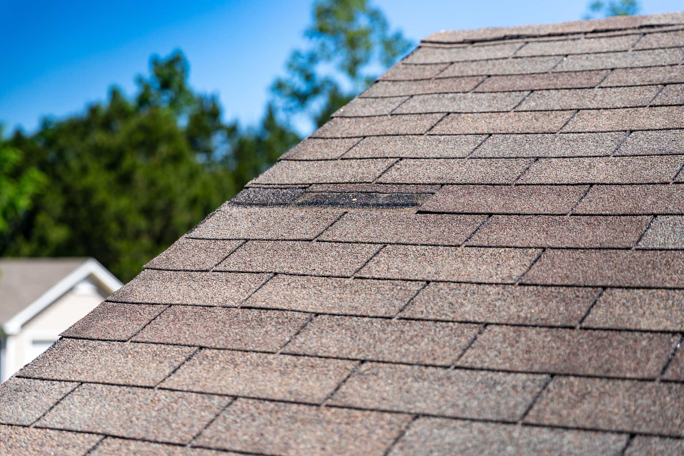 Damaged roof shingles