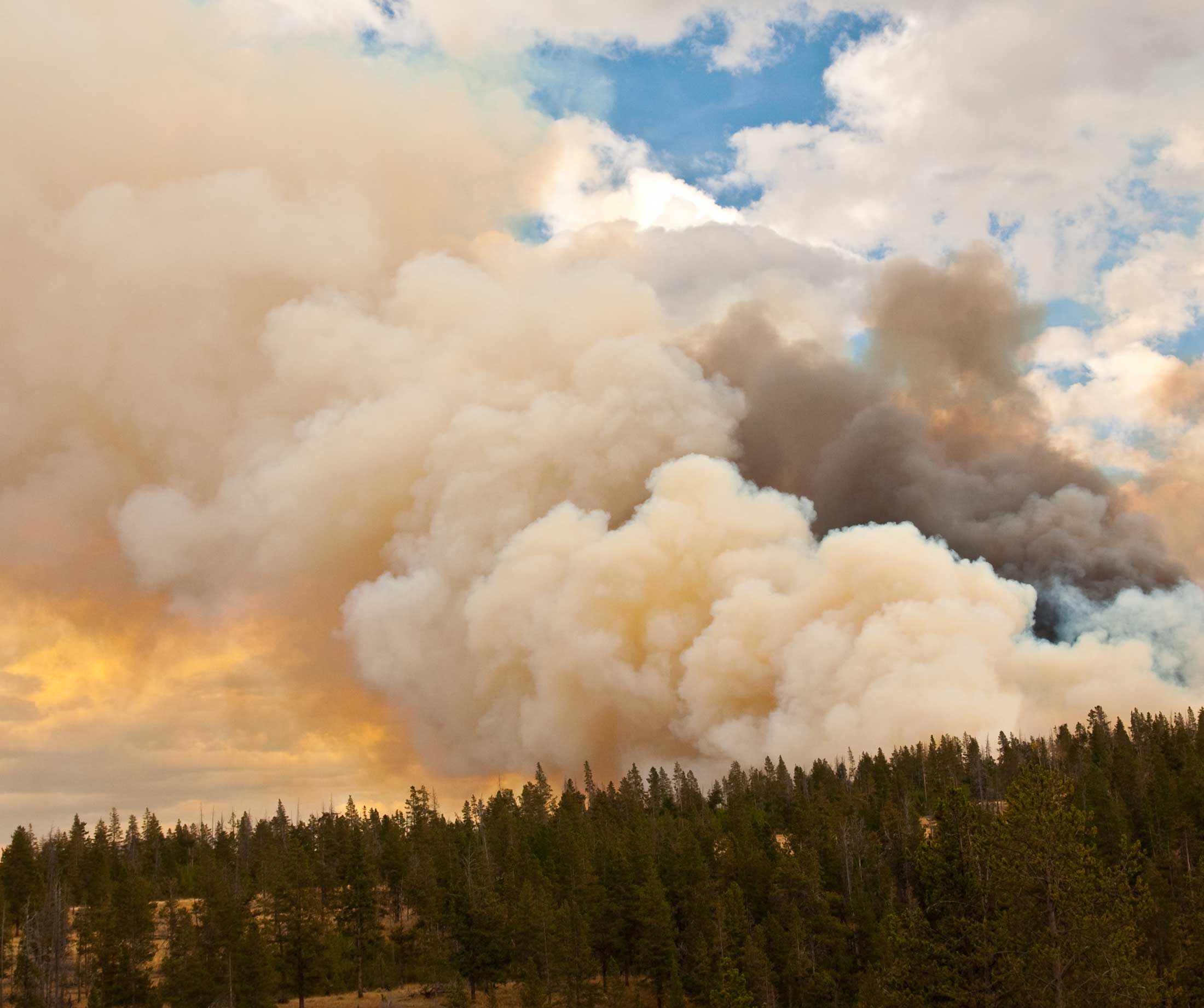 Wildfire